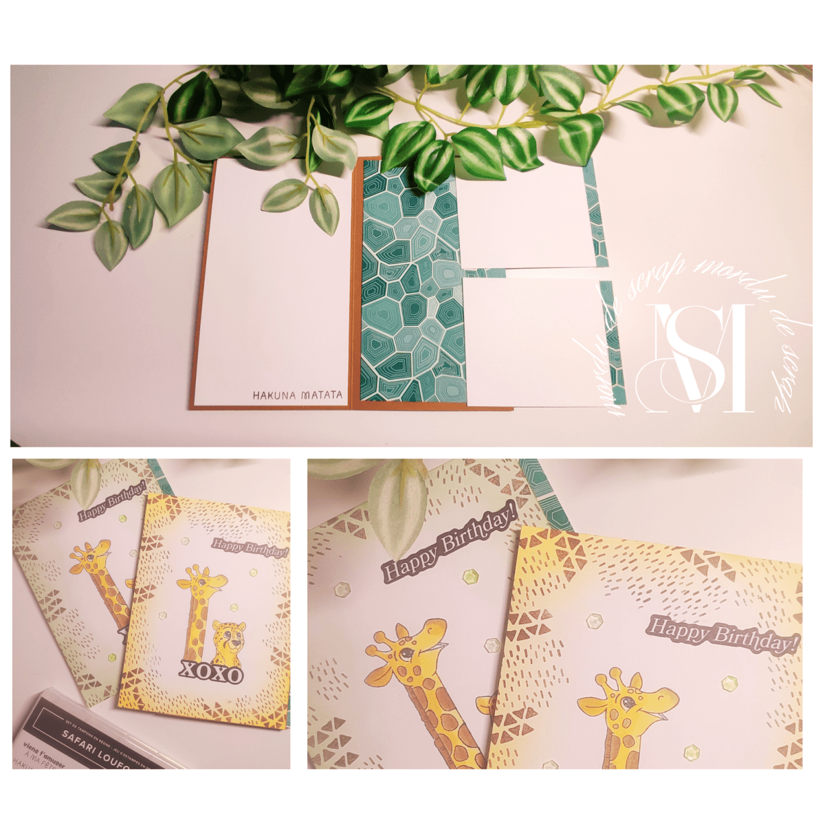 CARTE INTERACTIVE SAVANE