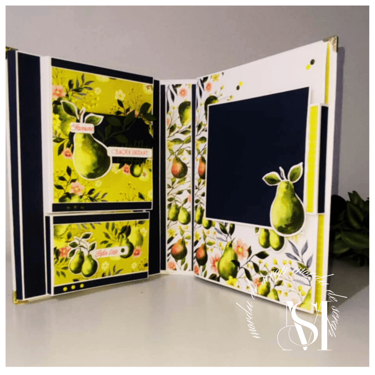 ALBUM POIRES PICTURALES