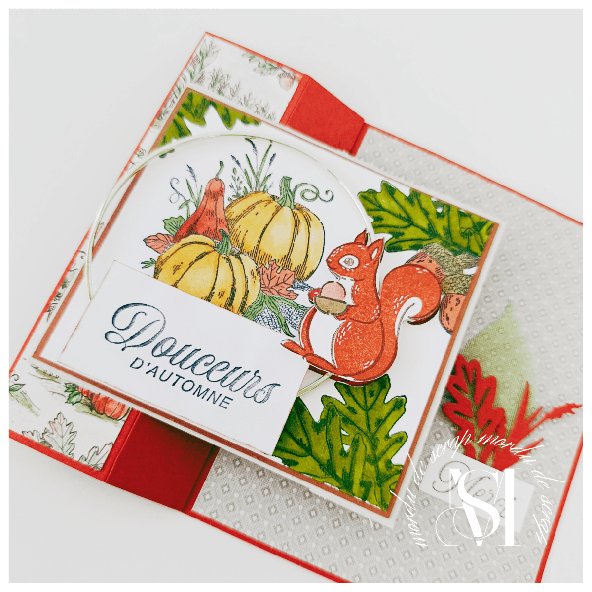 JARDIN DE CITROUILLES