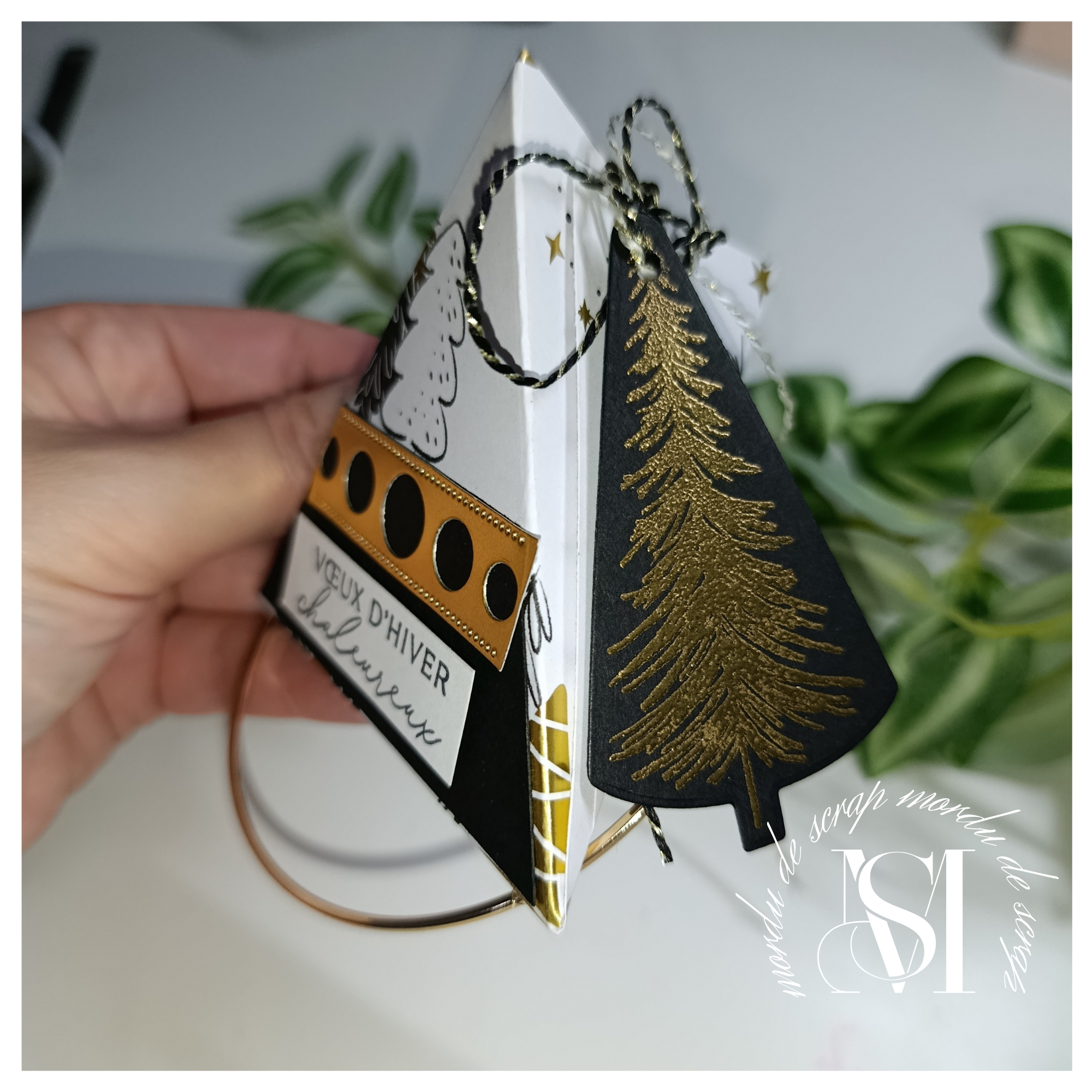 BOITE TRIANGULAIRE FESTIVE