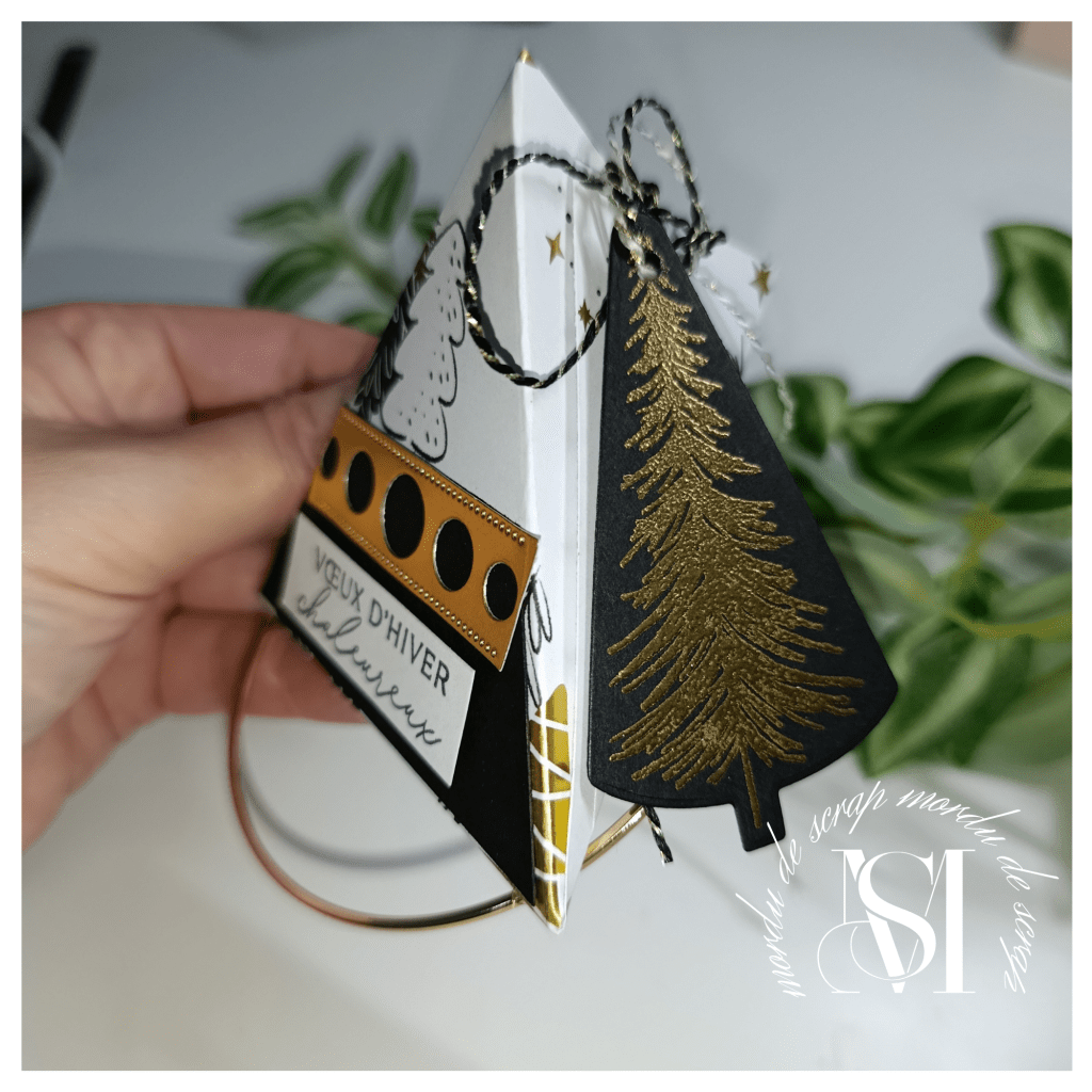 BOITE TRIANGULAIRE FESTIVE