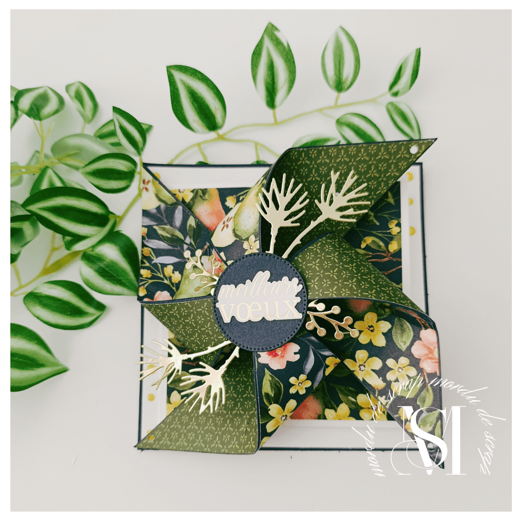 CARTE MOULIN A&nbsp;VENT