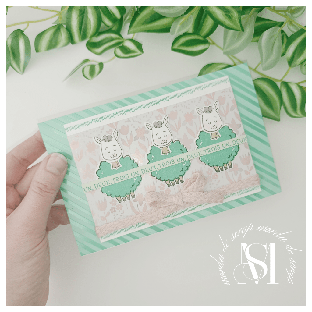 LES MOUTONS SONT DE&nbsp;SORTIE