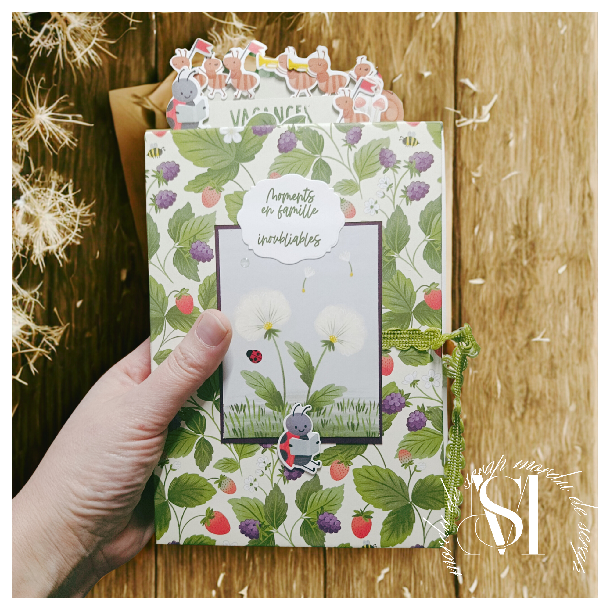 KIT ALBUM [JOLIES BESTIOLES]