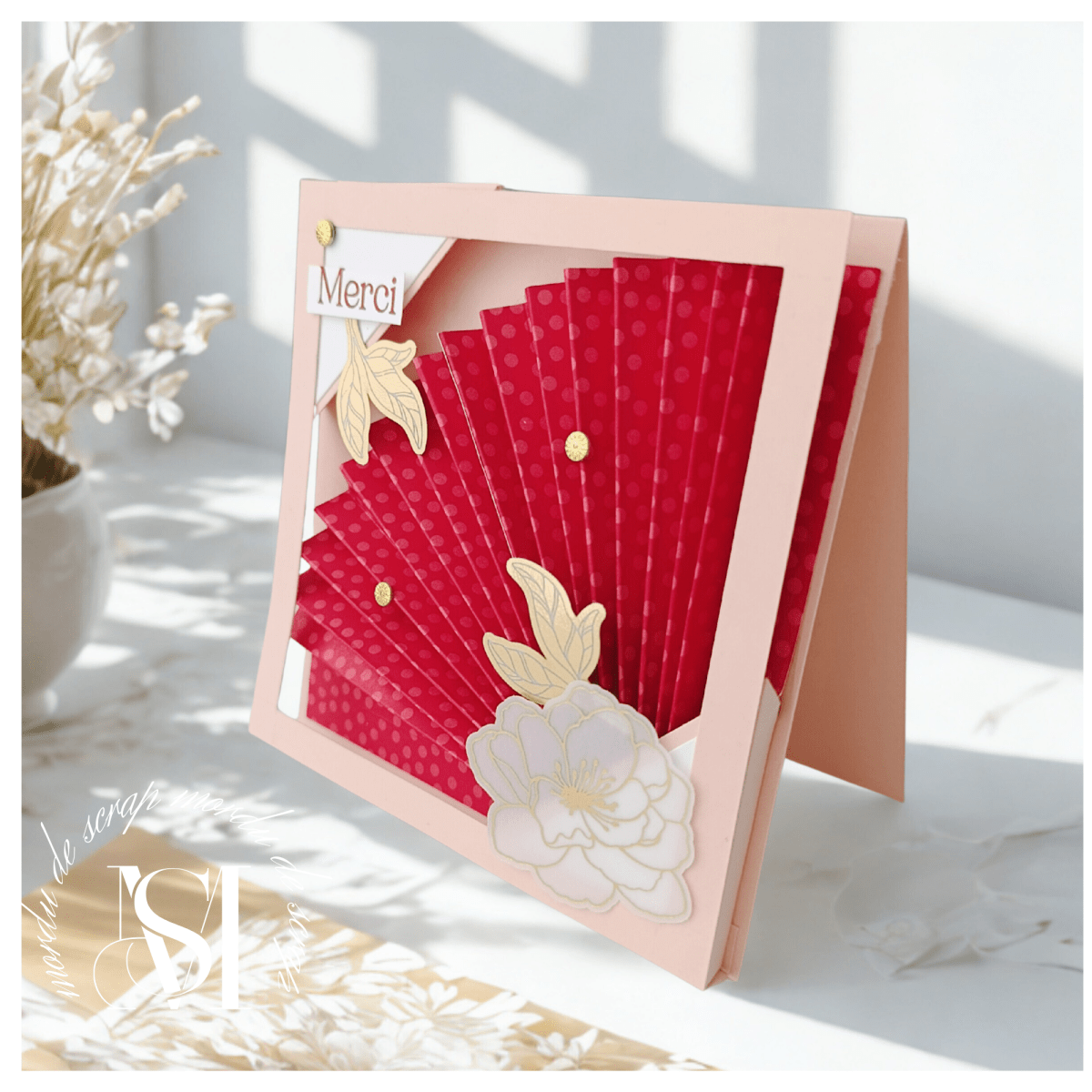 CARTE CADRE EVENTAIL