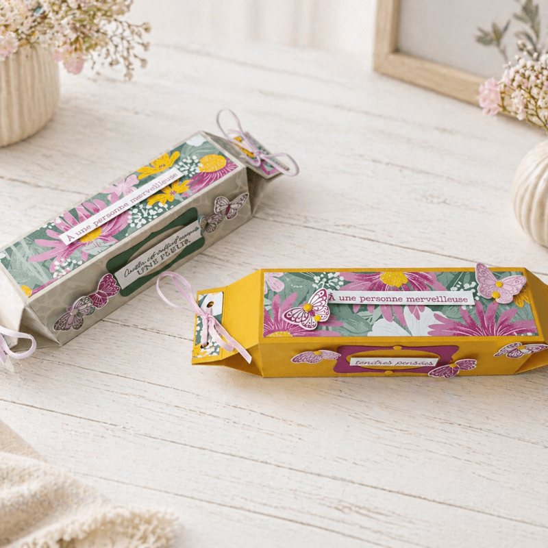 VIVE LES PAPILLOTES&nbsp;!
