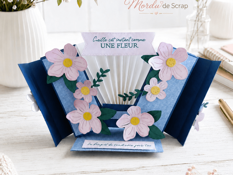DOUBLE BOITE ACCORDEON