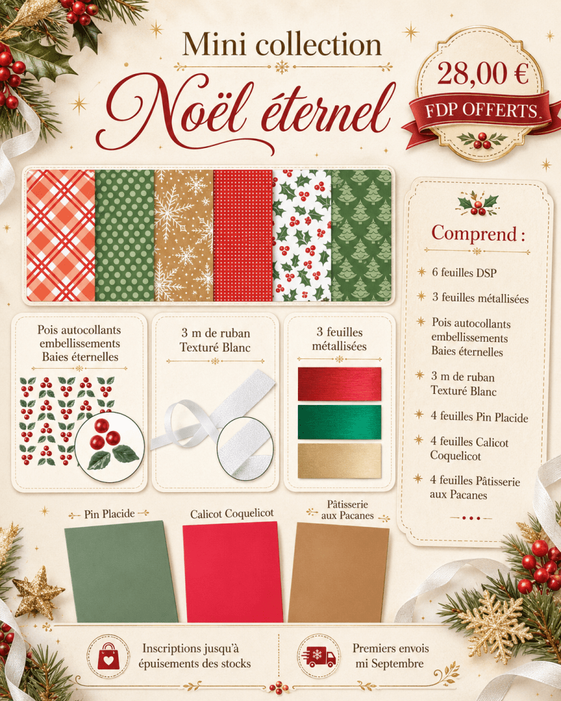 Composition de chaque kit : 1/2 paquet de papier Design, 24 feuilles A4 Uni, 1/2 paquet embellissements